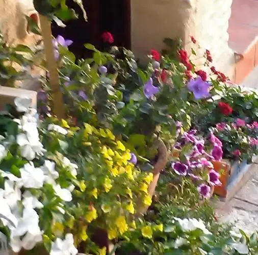 לינה וארוחת בוקר Le Antiche Mura Irsina